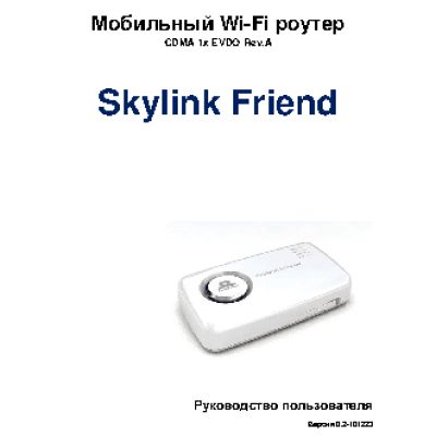 SKYLINK Friend