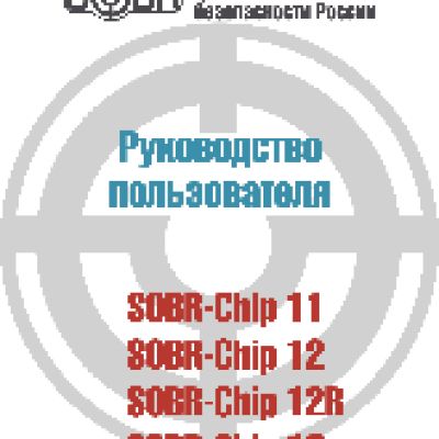 SOBR Chip 11