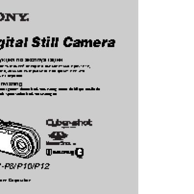 SONY Cyber-shot DSC-P12