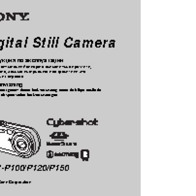 SONY Cyber-shot DSC-P100