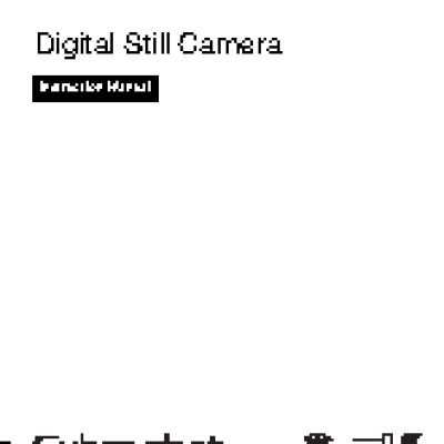 SONY Cyber-Shot DSC-W560