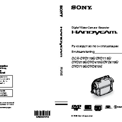 SONY DCR-DVD810 E