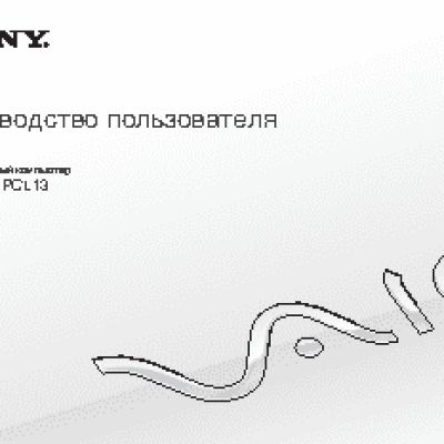 SONY VAIO VPCL13S1R/B