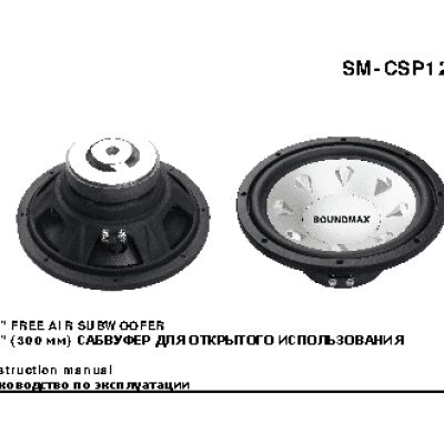 SOUNDMAX SM-CSP12F