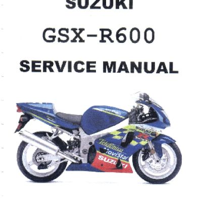 SUZUKI GSX-R600 (2001-2002)