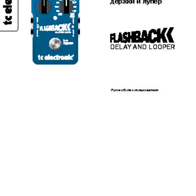 TC ELECTRONIC Flashback Delay & Looper TonePrint