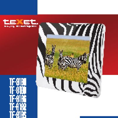 TEXET TF-818