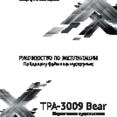 TEXET TPA-3009 / Bear