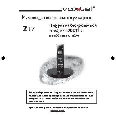 VOXTEL Z17