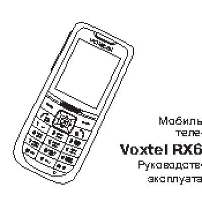 VOXTEL RX600