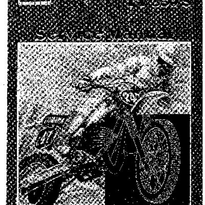 YAMAHA TDM850 (1996)