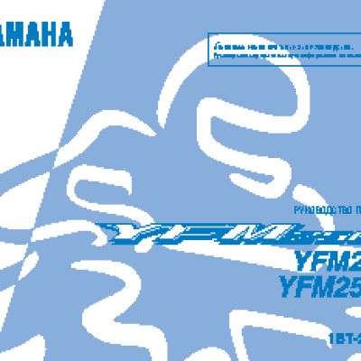 YAMAHA YFM250R (2012)