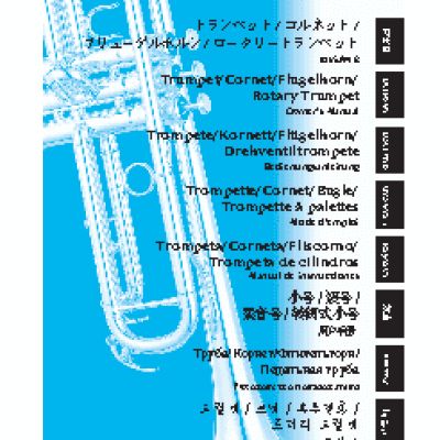 YAMAHA YTR-9335CHS Xeno Chicago